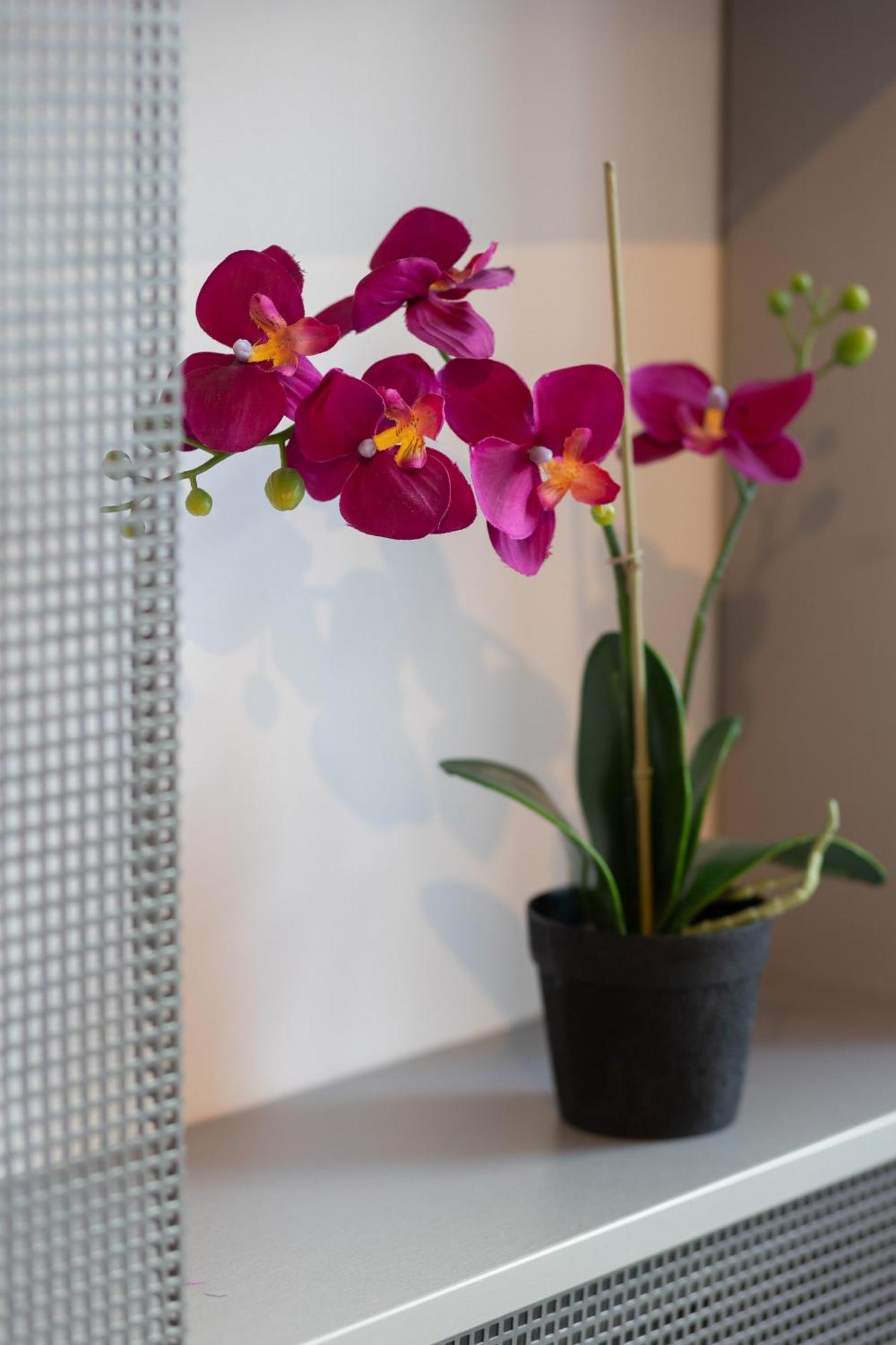 Comfort & Style Center By Renters Apartament Warszawa